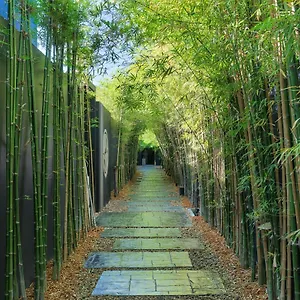 فيلة Kyoto, ليان بيتش